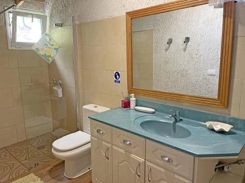 bathroom (shower)